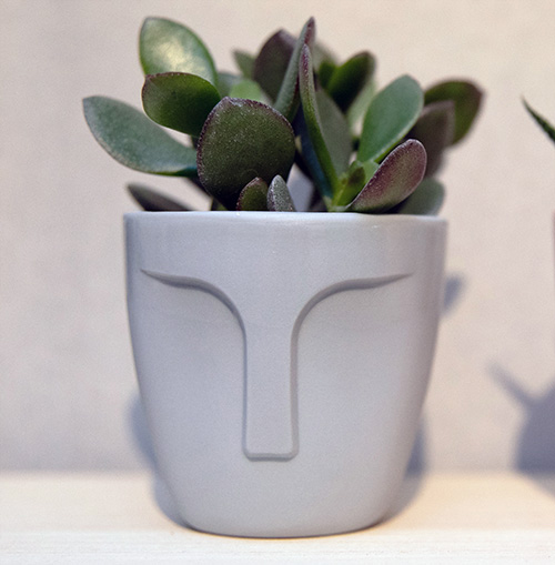 Pot VISAGE gris avec plante.